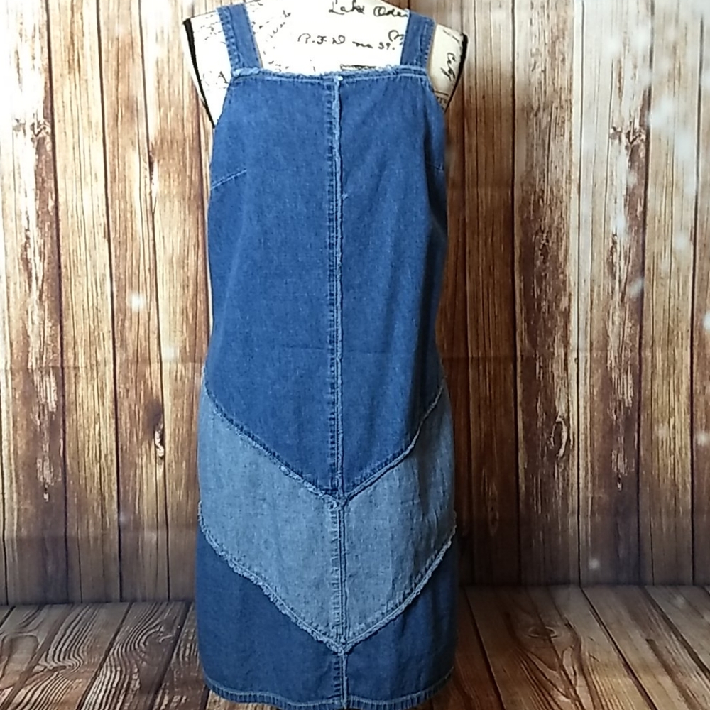 Expressions denim dress